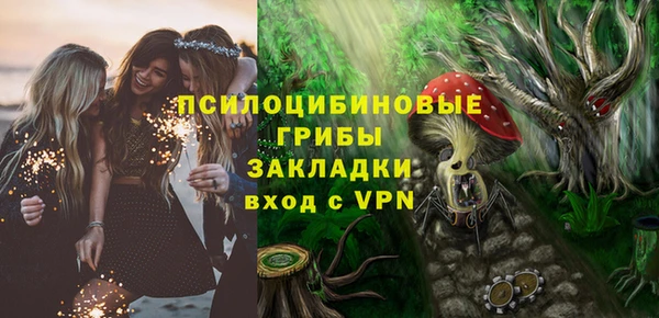 ECSTASY Елизово