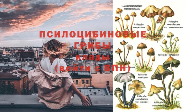 MESCALINE Ельня