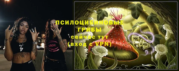 ECSTASY Елизово