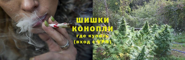ECSTASY Елизово