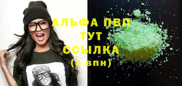 ECSTASY Елизово